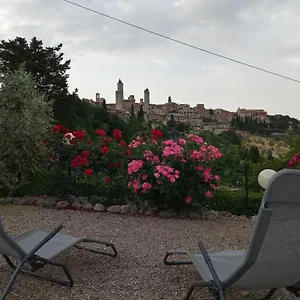 agriturismo-il-colto.it-tuscanyhotel.com/
